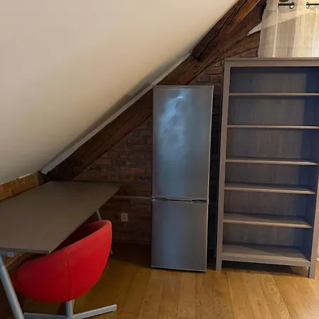 شقة Timber Loft اوسترافا